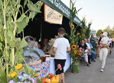 Dożynki Gminne 2025 w Wojsławicach